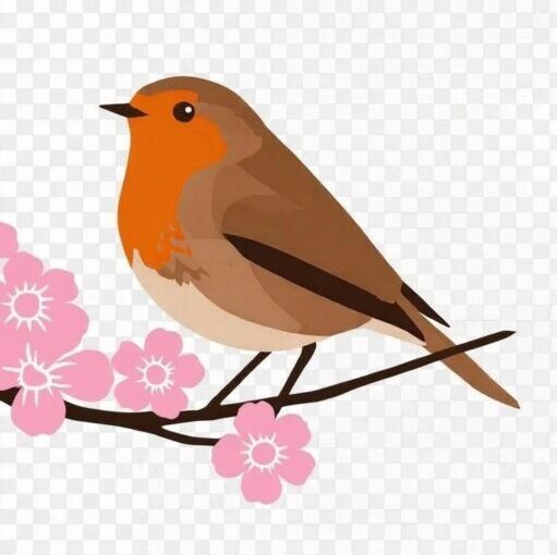 psychologue Superviseure EMDR